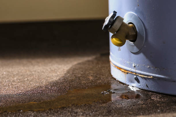 Best Commercial water damage restoration  in West Union, IA
