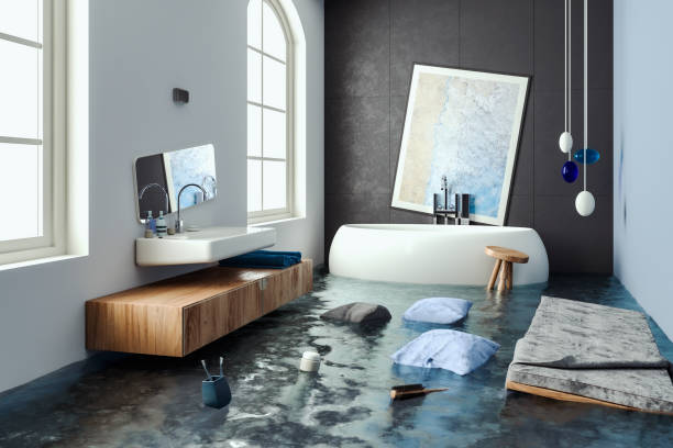 Best Water damage restoration insurance claims  in West Union, IA