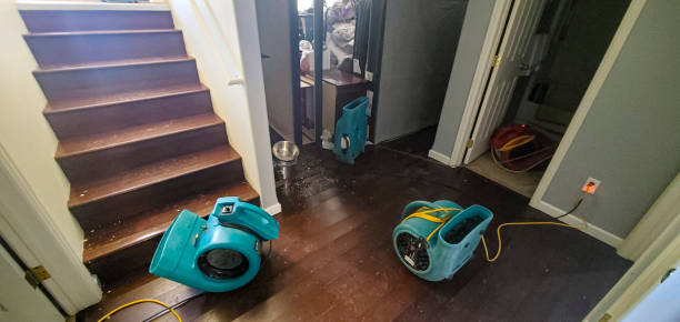 Best 24-hour water damage restoration  in West Union, IA