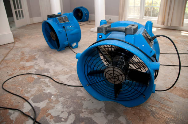 Best Flooded house restoration  in West Union, IA