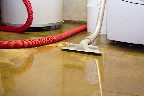 Best Sewage cleanup and water damage restoration  in West Union, IA
