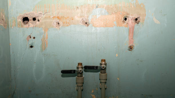 Best Fire Damage Restoration  in West Union, IA
