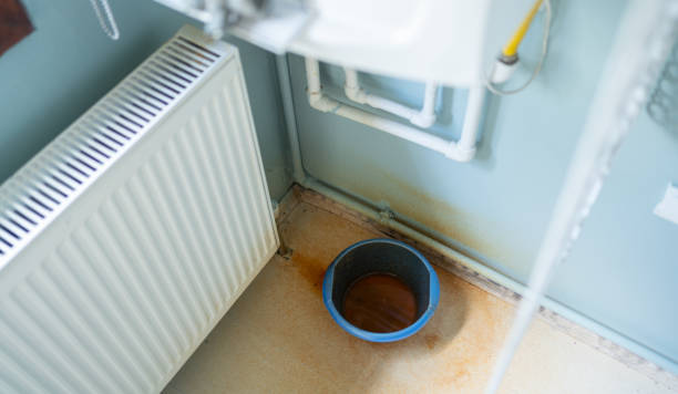 Best Water damage restoration experts  in West Union, IA