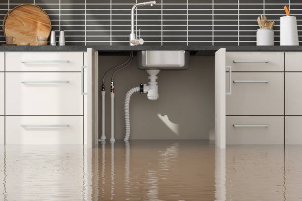 Best Sewage cleanup and water damage restoration  in West Union, IA