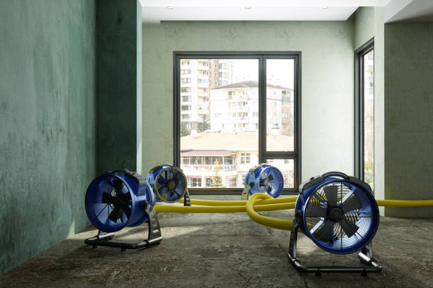 Best Water damage restoration near me  in West Union, IA